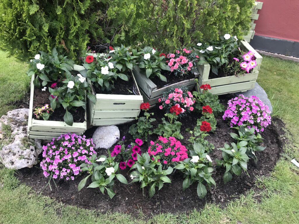 Flors jardí 2