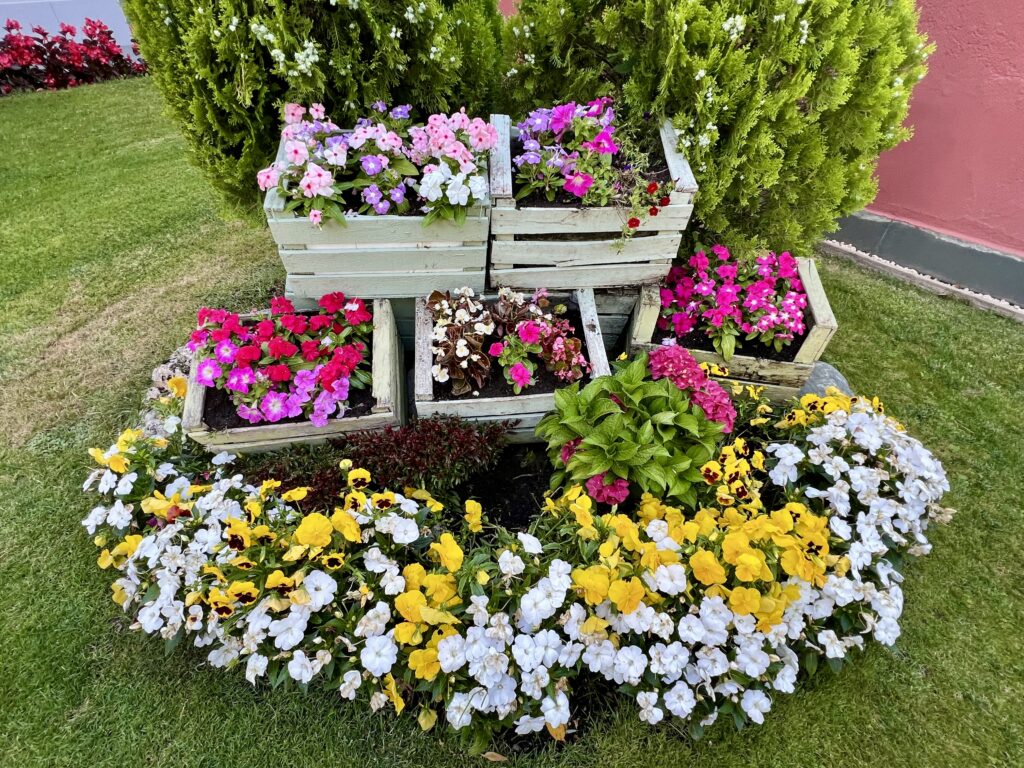 Flors jardí 3