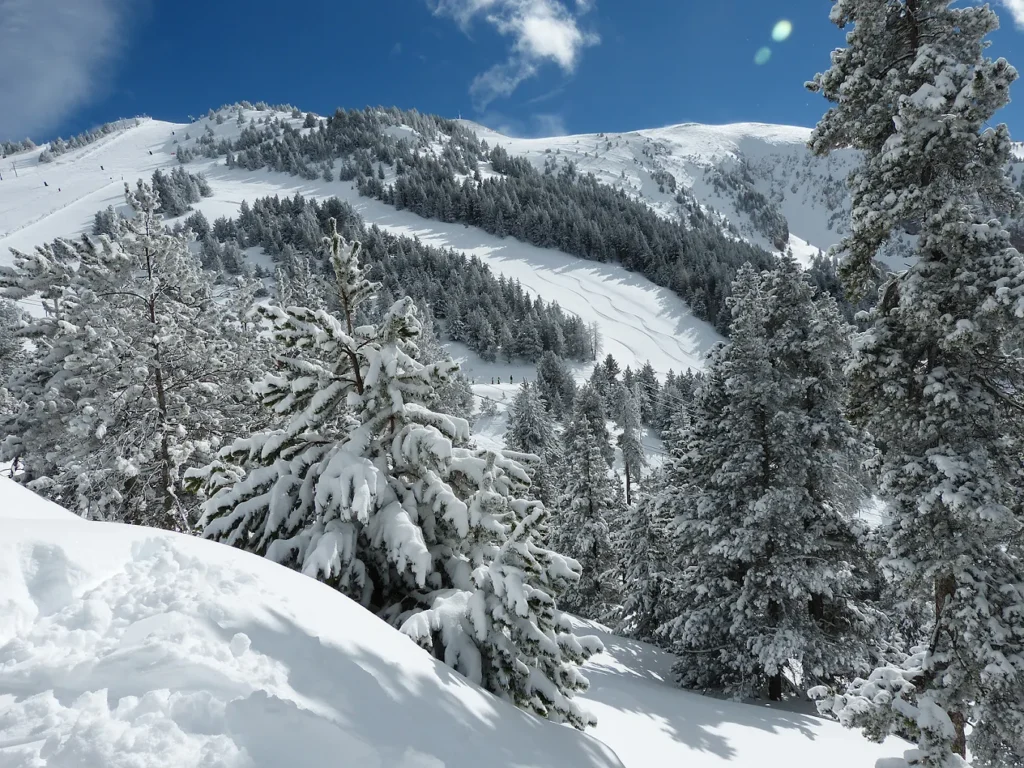 Apartamentos boutique Torreta del Llac - esquí en La Masella, Puigcerdá, La Cerdaña