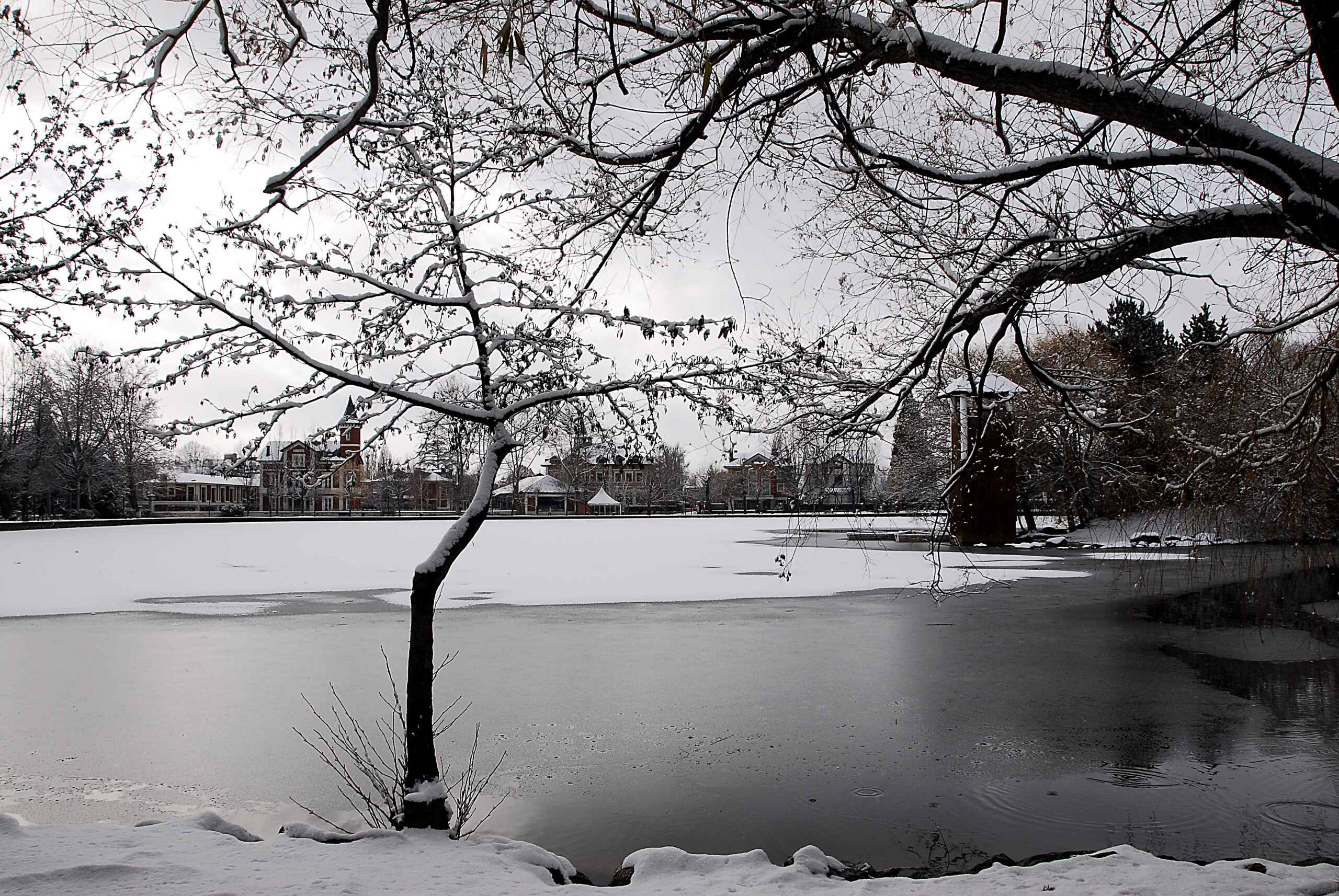 El lago de Puigcerdá en invierno, con vistas a los Apartamentos Boutique Torreta del Llac, La Cerdanya