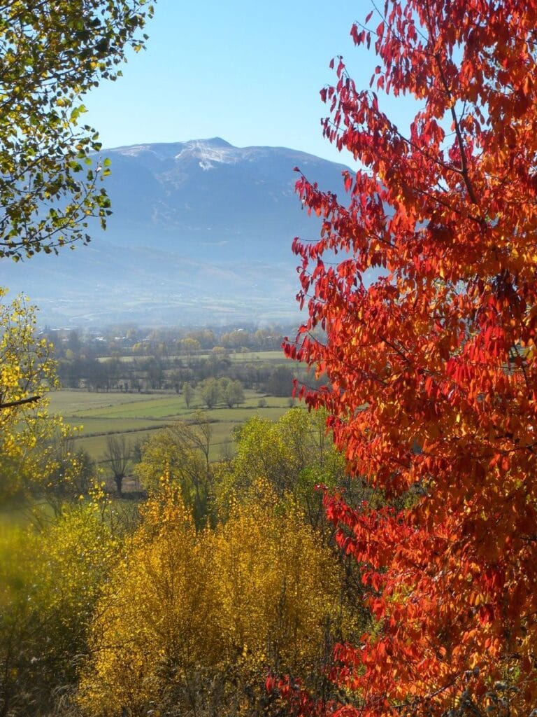 La Tosa d'Alp a la tardor